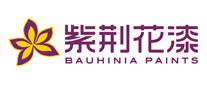 Bauhinia紫荆花漆