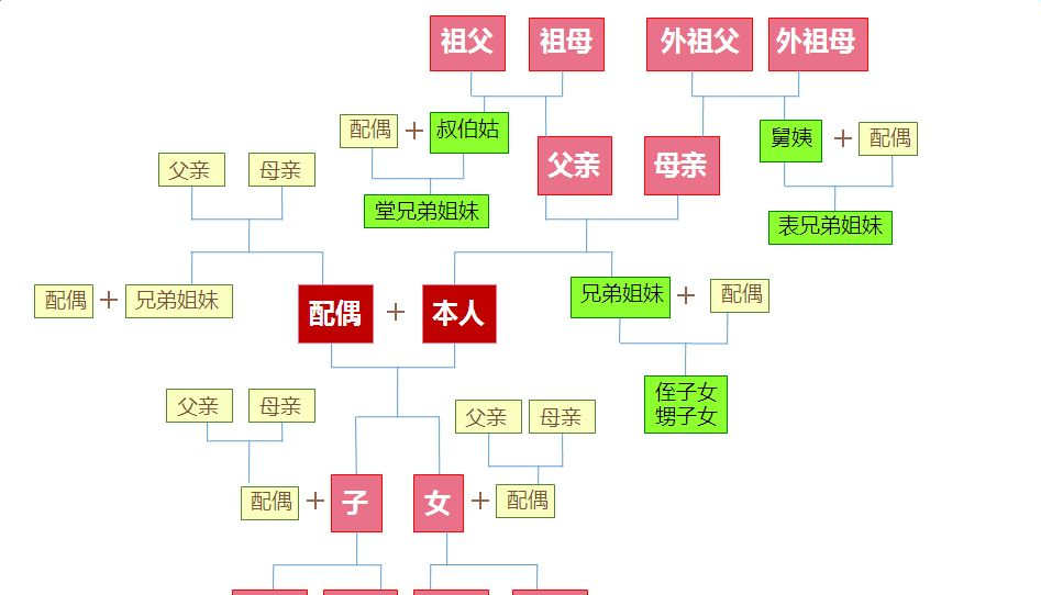 直系亲属包括哪些(直系三代亲属关系图)